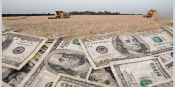 La liquidación de los agroexportadores no aparece